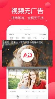 果条 在线视频,揭秘水果界的时尚潮流