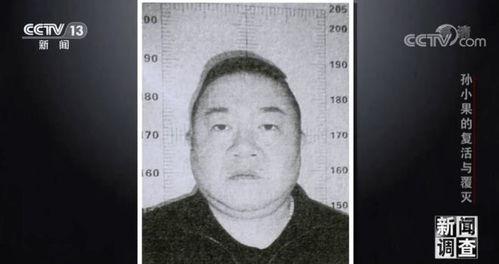 孙小果在线视频,揭秘其人生轨迹与争议事件