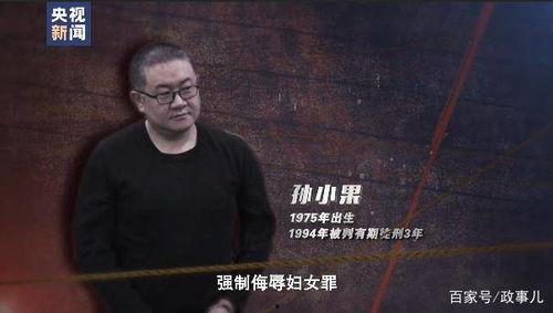 孙小果在线视频,揭秘其人生轨迹与争议事件