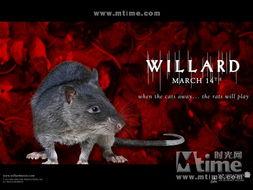 驭鼠怪人在线视频