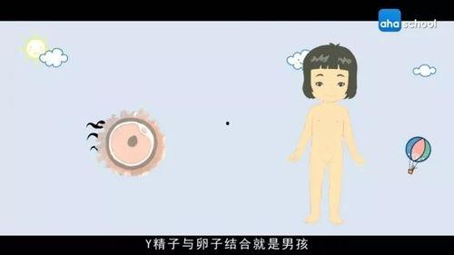 教育指导动画在线视频,教育指导的精彩呈现