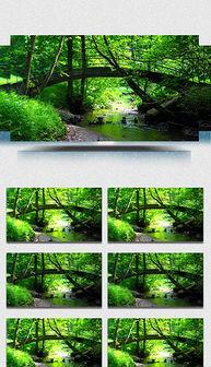 小桥早苗在线视频,探寻日本时尚界的魅力风采