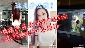 色越南在线视频,探索东南亚风情与文化魅力