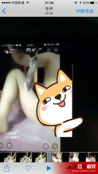 黄鳝女主播的在线视频,网络红人的崛起与争议