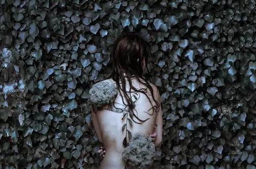 纪念裸体摄影在线视频,在线视频中的艺术与自由