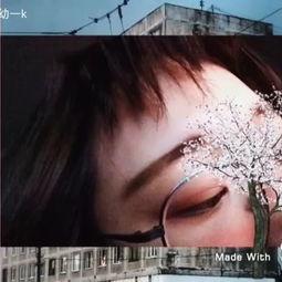 好吊爱在线视频,揭秘热门短视频的魅力与影响 第1张 好吊爱在线视频,揭秘热门短视频的魅力与影响 第1张