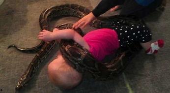 人与蛇在线视频,揭秘人与蛇的神秘互动  第2张