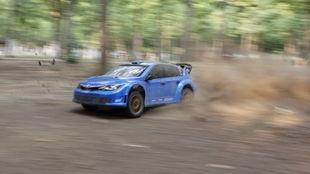 树林里那些事在线视频,揭秘在线视频中的神秘森林故事  第2张