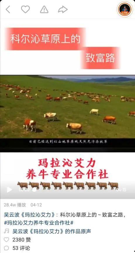 乌龙寺在线视频,揭秘古刹在线视频中的奇幻之旅  第3张