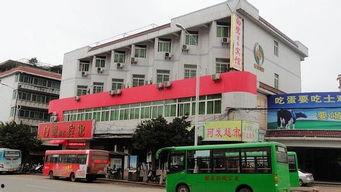旅馆的白鹭动漫在线视频