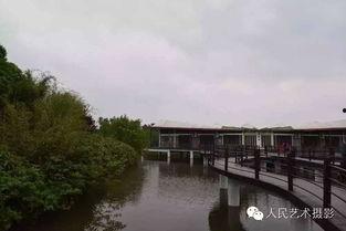 河南信阳风景在线视频,风景在线视频带你领略豫南美景  第2张