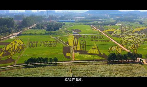 弯道农场在线视频观看,揭秘农业科技与生态循环的奇迹之旅  第2张